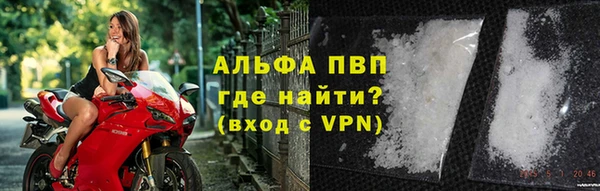 кокс Белокуриха