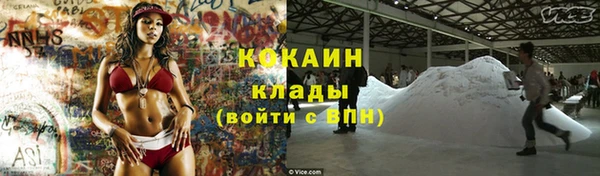 кокс Белокуриха