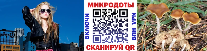 Псилоцибиновые грибы прущие грибы  Чкаловск 